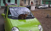 Аватара пользователя