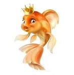 Аватара пользователя