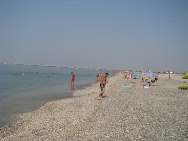 IMG_2912.jpg