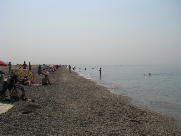 IMG_2916.jpg