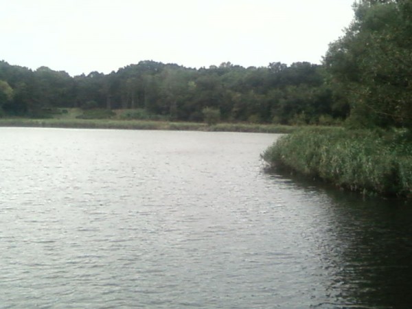 SP_A0347.jpg