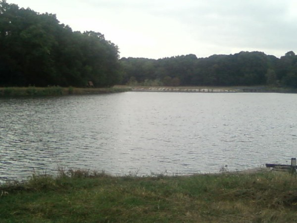 SP_A0345.jpg