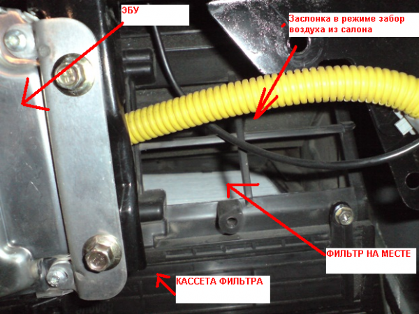 ЭЛАРА салон 1.png