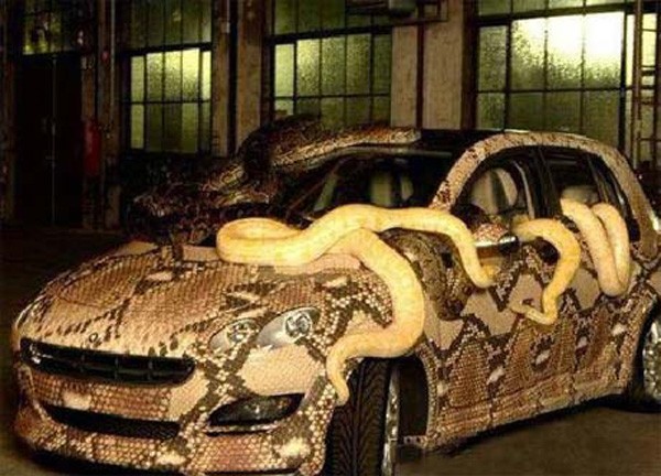 scary-snake.jpg