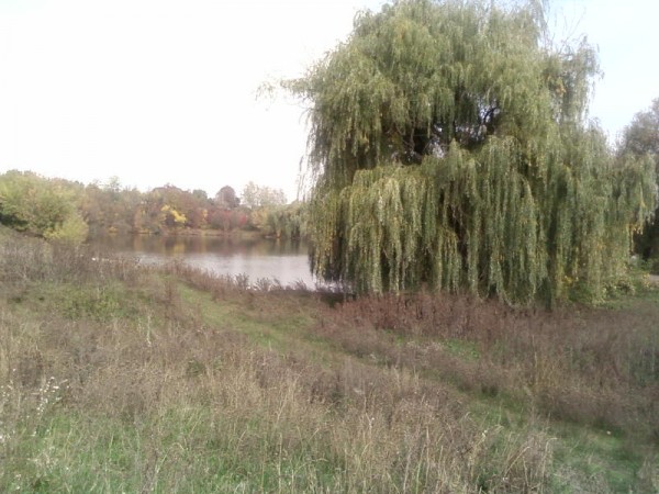 SP_A0408.jpg