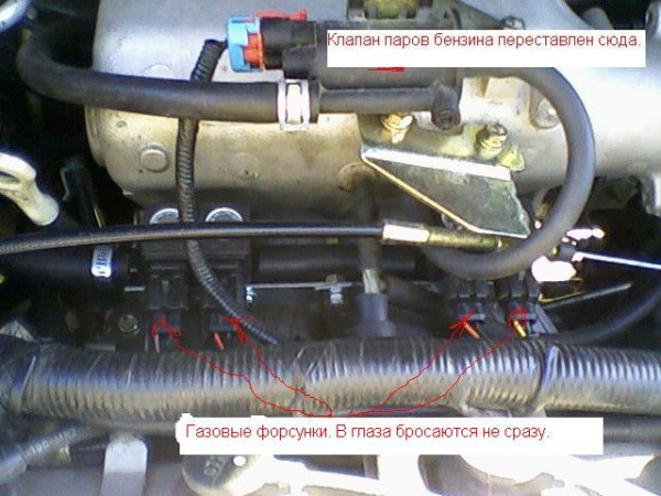 газа1.jpg