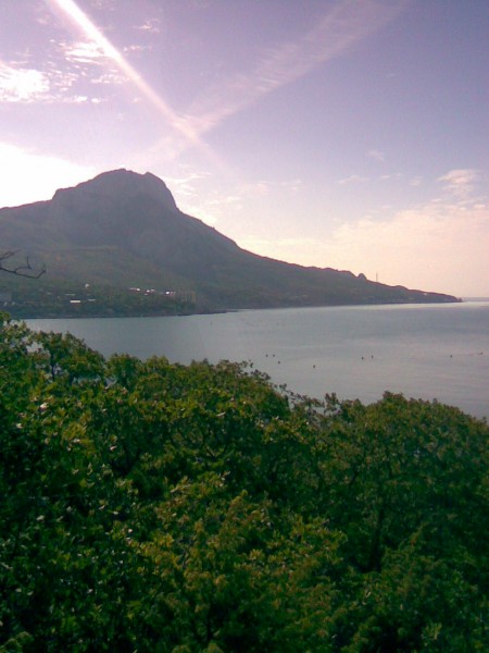 139.jpg