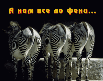b_h1225529.jpg.gif