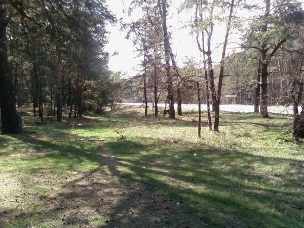 SP_A0656.jpg