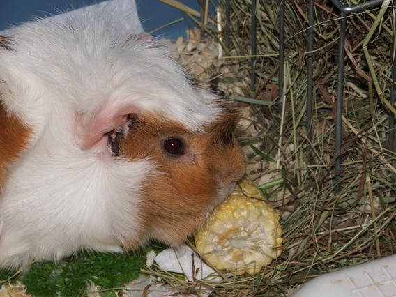 DSCF1248.JPG