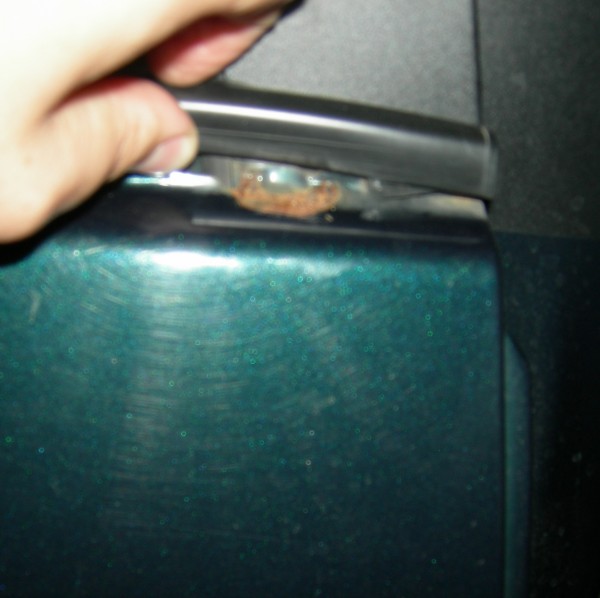DSCN4966.JPG