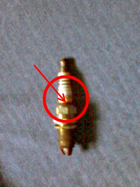 DSC00206.jpg