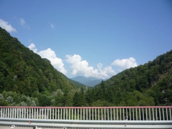 P1010466.JPG