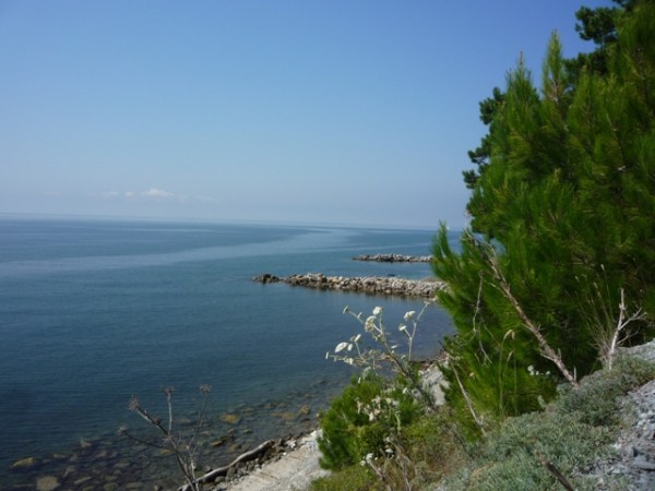 P1010688.JPG