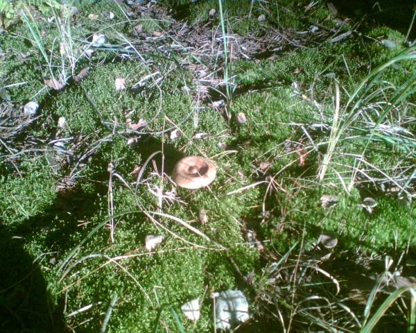 2007-28.jpg