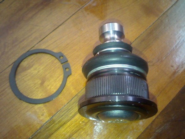 IMG011.jpg