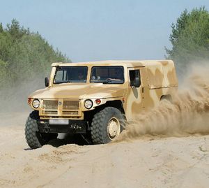 tigr-big.jpg