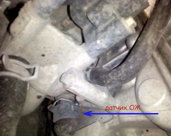 SP_A4428.jpg