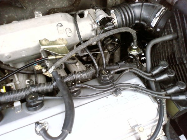Photo-0002.jpg