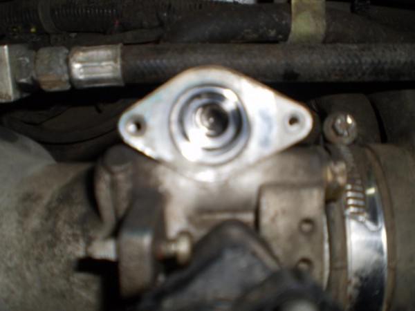 P20100207.JPG