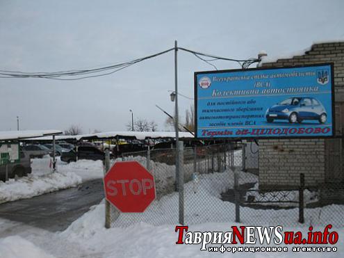 1265030378_x_72bb5e9b-kopiya.jpg