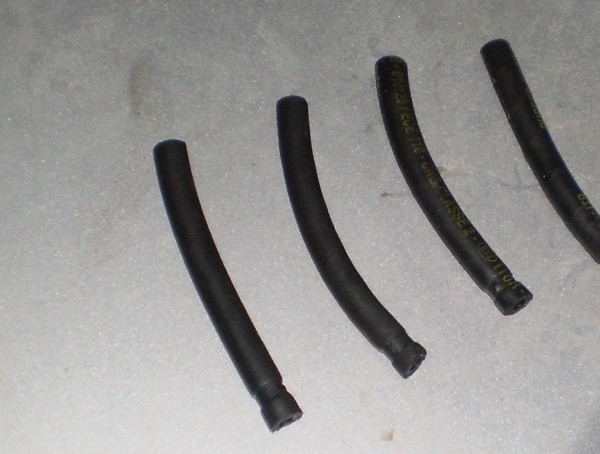 P202.JPG
