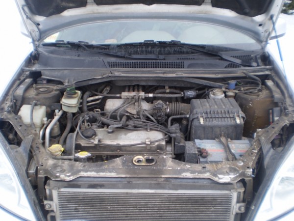 P203.JPG