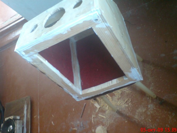 DSC01348.jpg