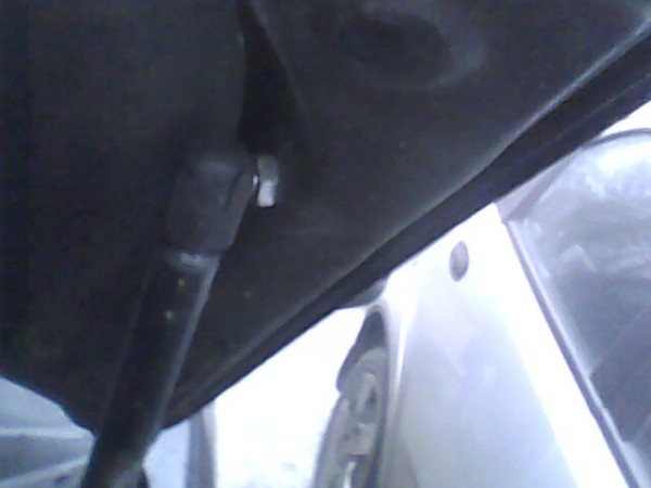 IMG0040A.jpg