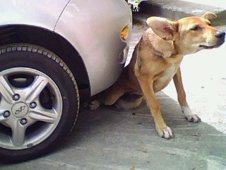 IMG0257A.jpg