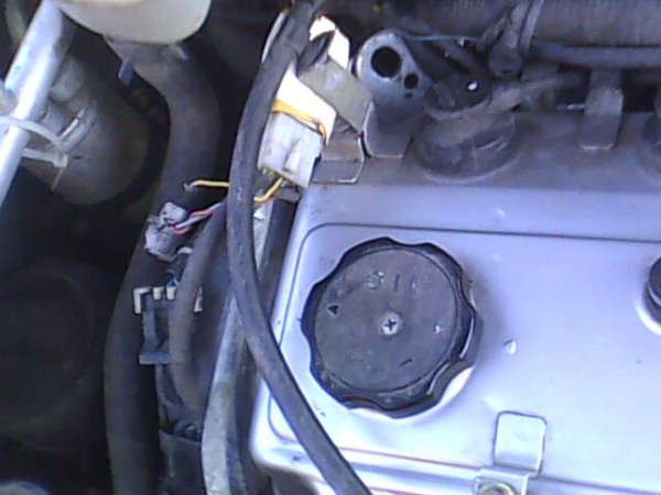 IMG0043A.jpg