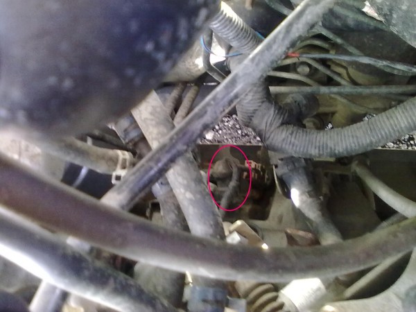 27032010053.JPG