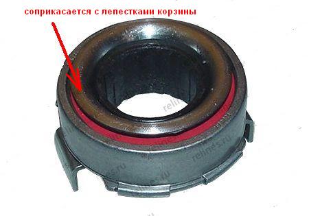 выжымной.jpg
