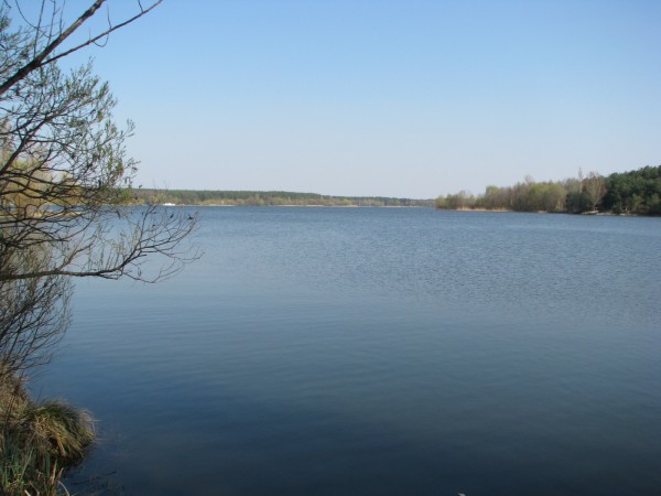 IMG_0172.jpg