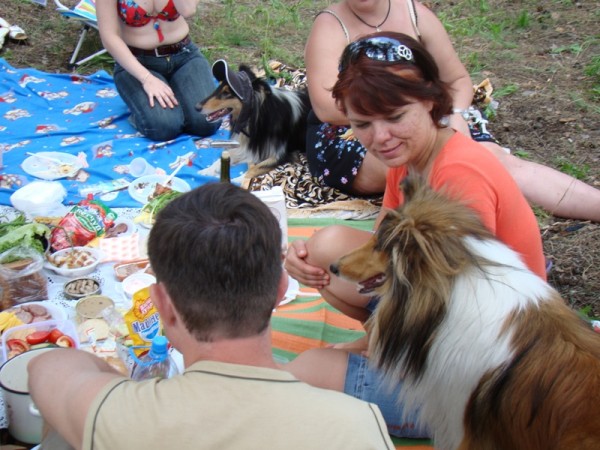 DSC03888.JPG