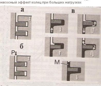 кольца.JPG