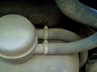 IMG0101A.jpg