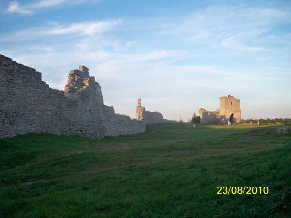 100_2354.jpg