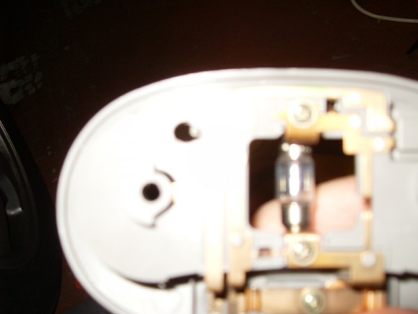 SDC10883.JPG
