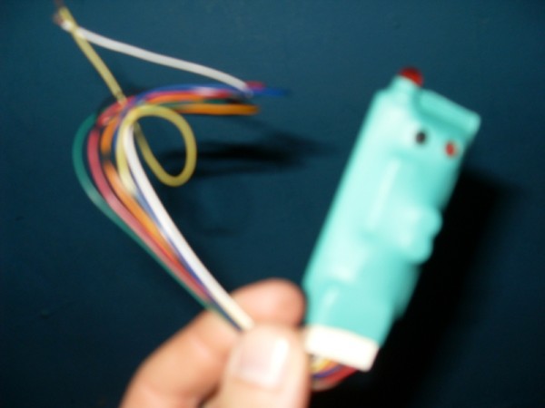 SDC10879.JPG