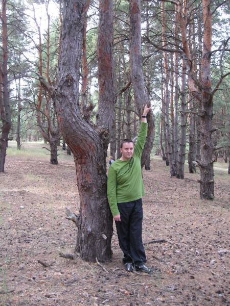 лес 250910 015.jpg