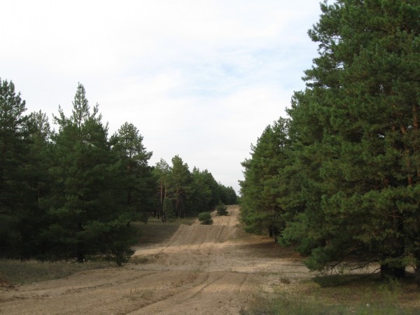 лес 250910 016.jpg