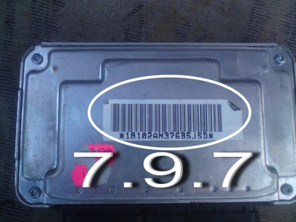 797 back.jpg