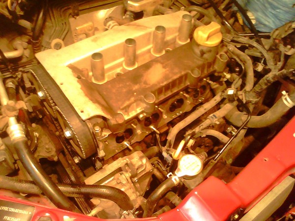 IMG0499A.jpg