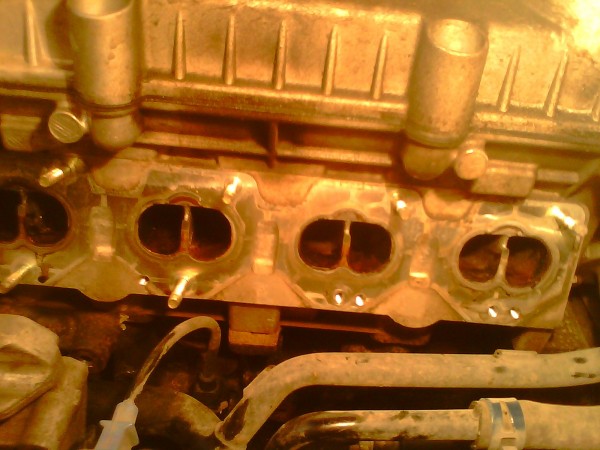 IMG0502A.jpg