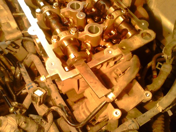 IMG0510A.jpg