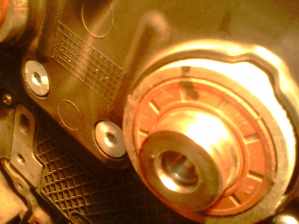 IMG0511A.jpg