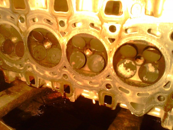 IMG0520A.jpg