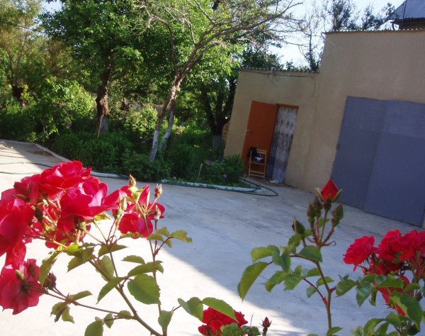 P1016874.JPG