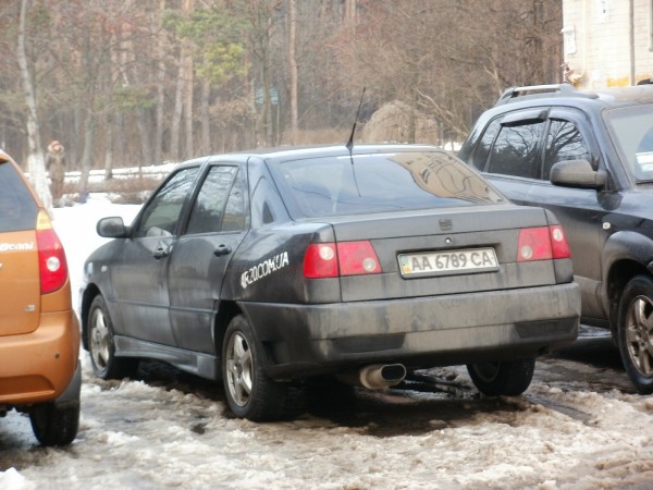 Копия P1010141.JPG